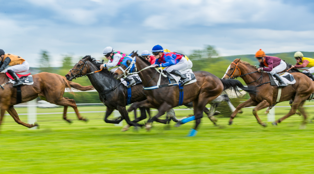 Jockeys racing horses
