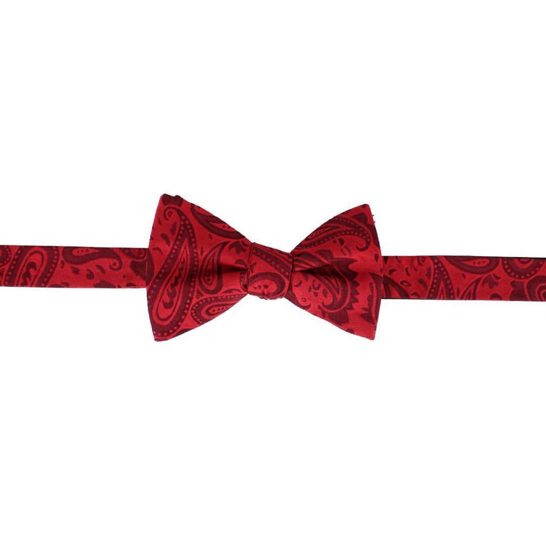 Banbury Tone on Tone Paisley Silk Braces and Bow Tie Set - Red