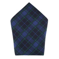 Green and Navy Plaid