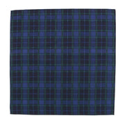 Green and Navy Plaid