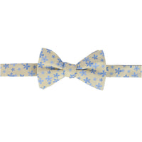 Yellow and Light Blue