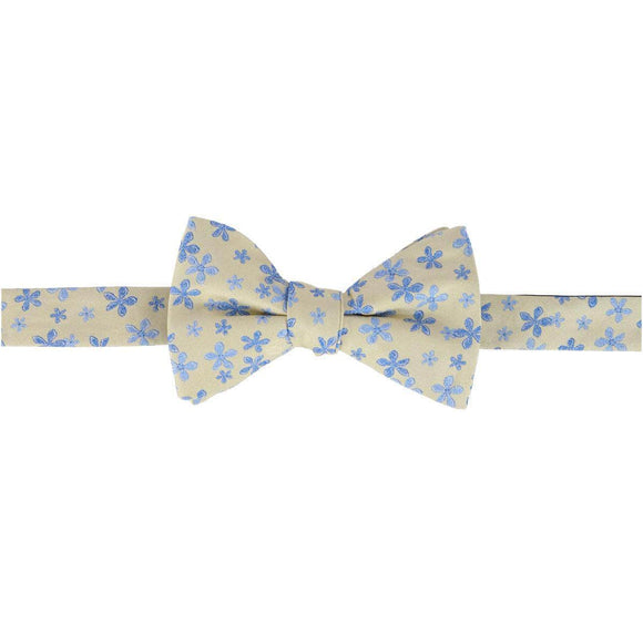 Weldon Floral Silk Novelty Bow Tie