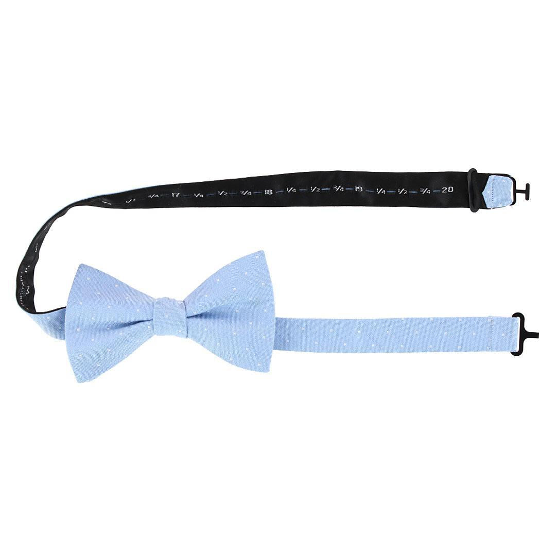 Light Blue with Polka Dots