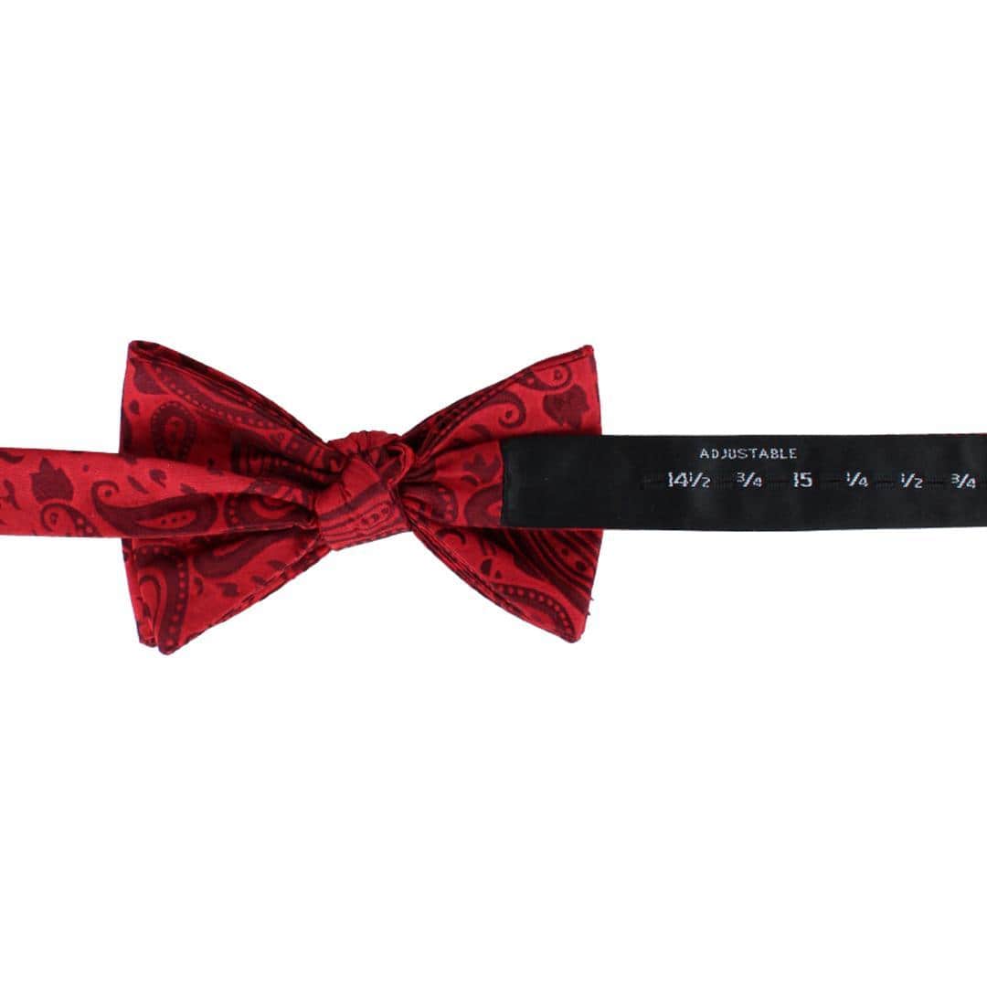 Banbury Tone on Tone Paisley Silk Bow Tie - Red