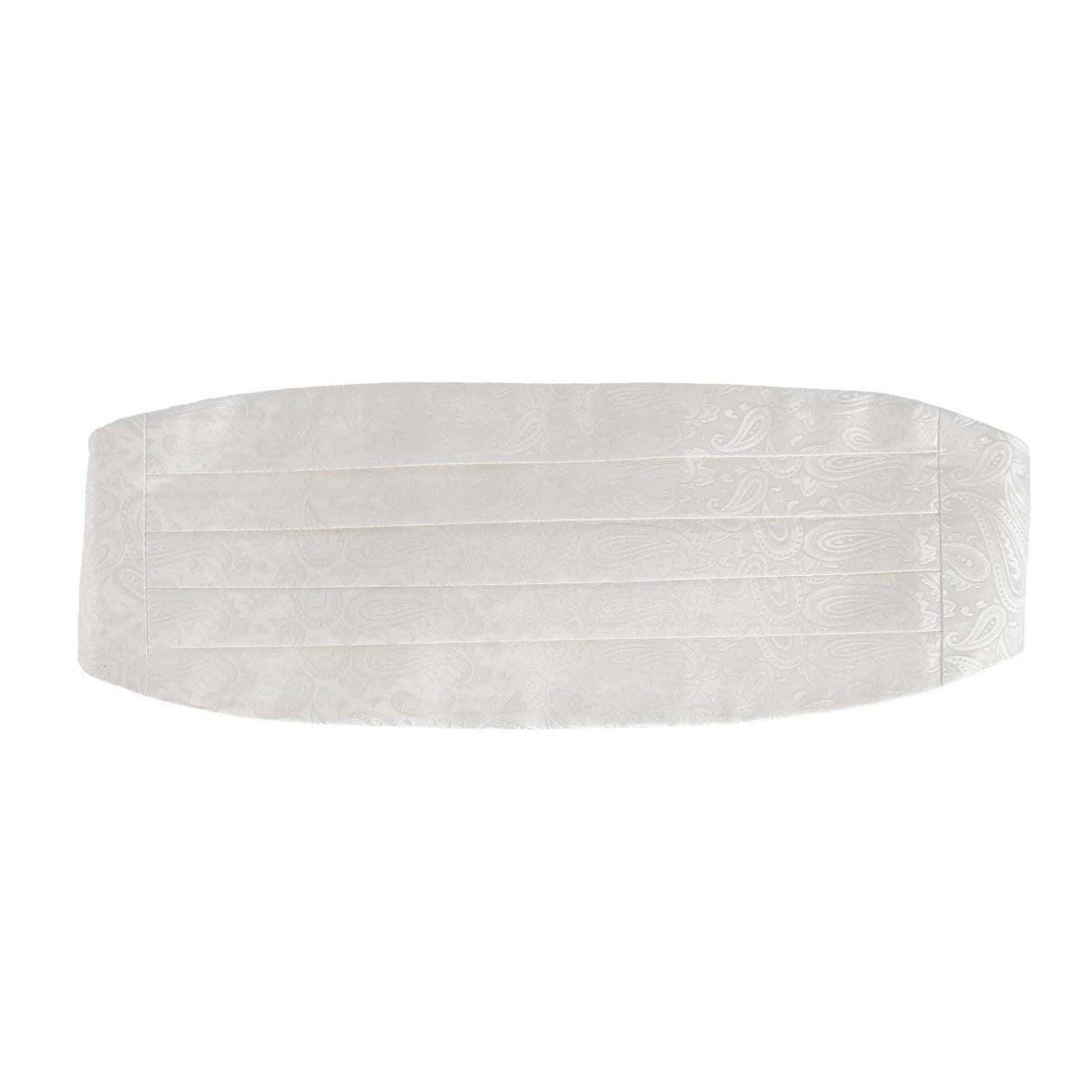 Banbury Tone on Tone Paisley Silk Cummerbund & Bow Tie Bundle - White