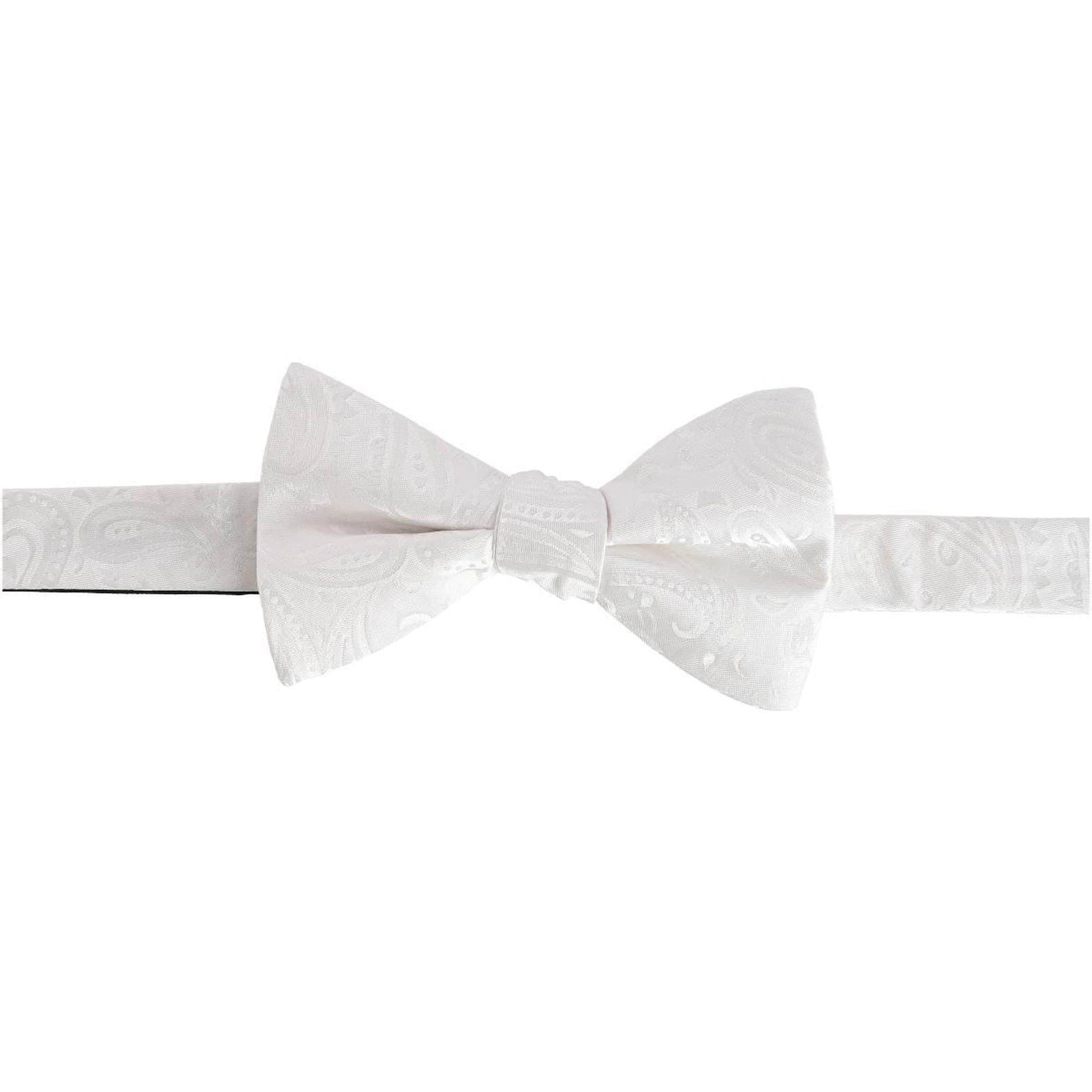 Banbury Tone on Tone Paisley Silk Cummerbund & Bow Tie Bundle - White