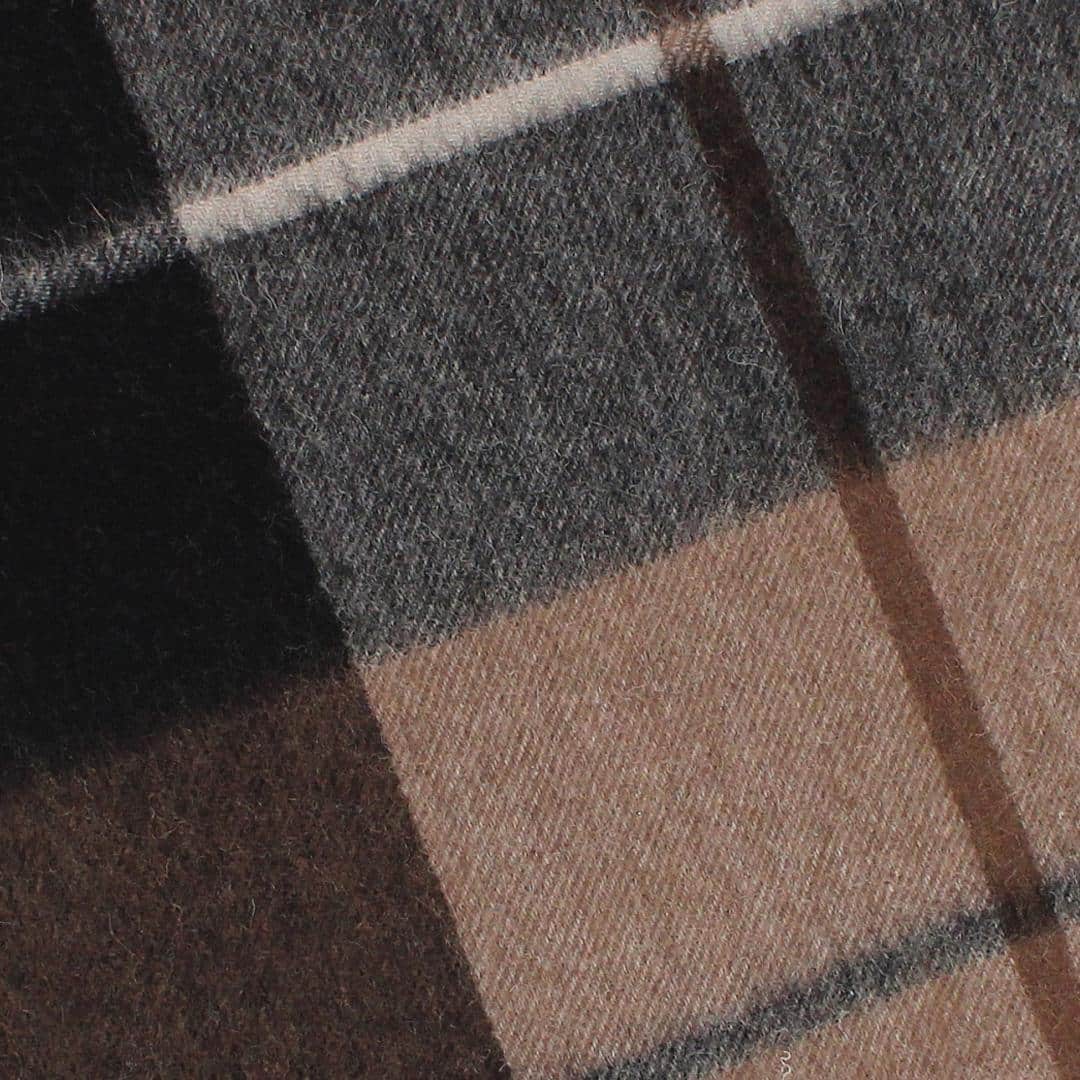 Camden Cashmere Soft and Cozy Neck Scarf - Plaid