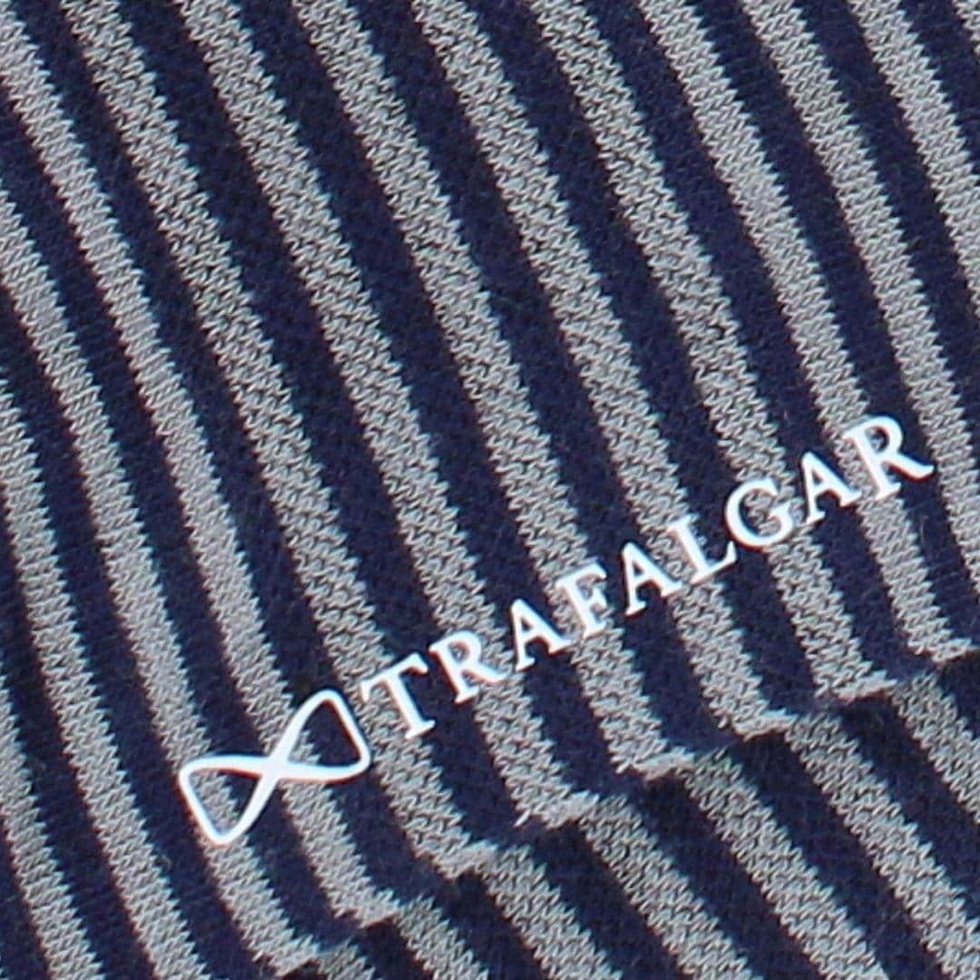 Navy Blue and Grey Stripes